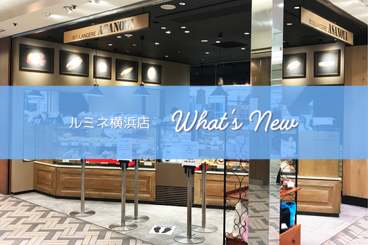 ルミネ横浜店　新着情報