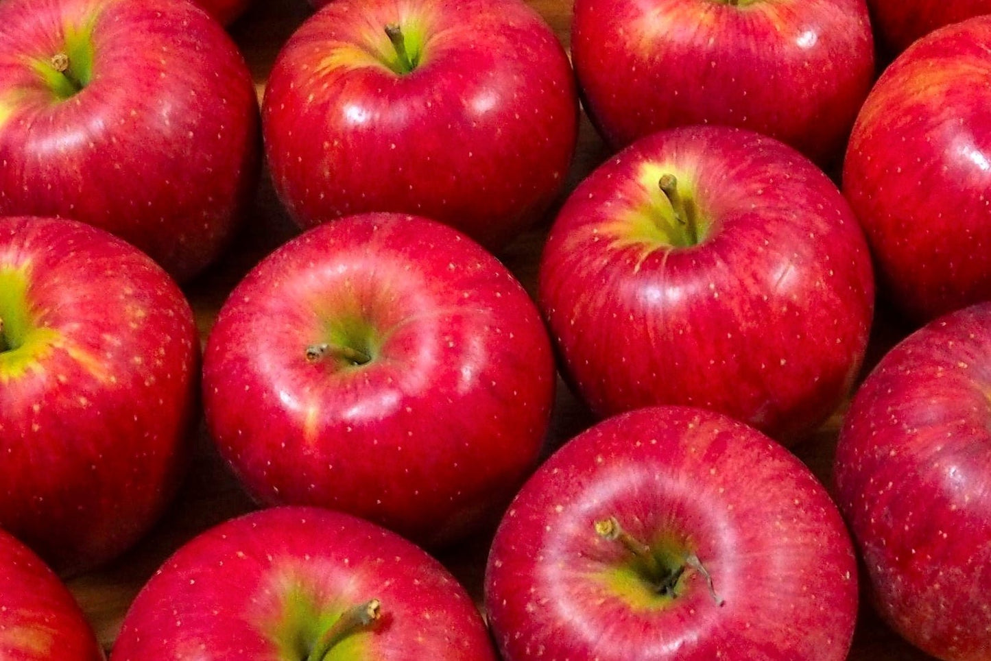 【冷凍】アップルパイリレー2025-2026　第4弾 信州産食べごろりんごのアップルパイ （シナノスイート）5個入り